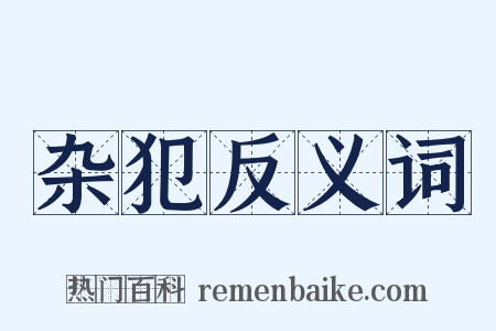 杂犯反义词是什么意思的图片